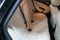2017 Buick Verano Leather Group
