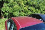 2005 Buick Century Custom
