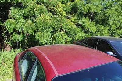 2005 Buick Century Custom