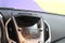 2014 GMC Terrain SLT